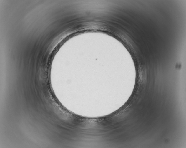 X0000110920828200907021457