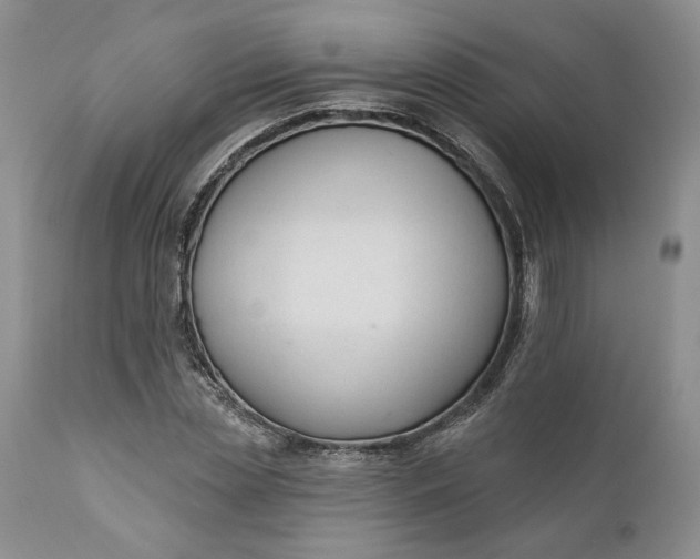 X0000110920829200907021457