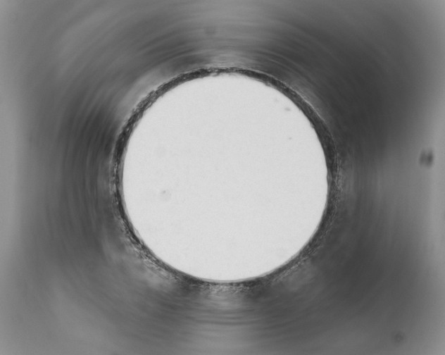 X0000110920832200907021457