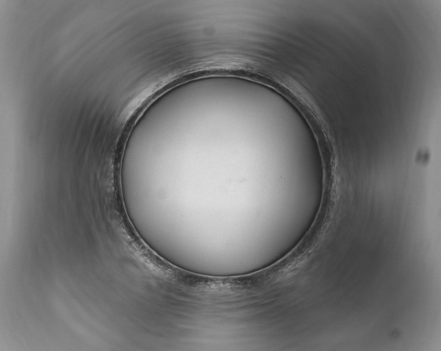 X0000110920834200907021457