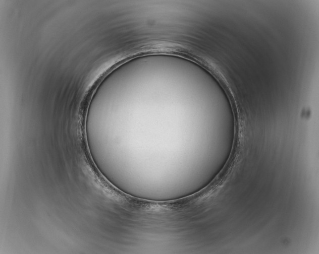 X0000110920835200907021457