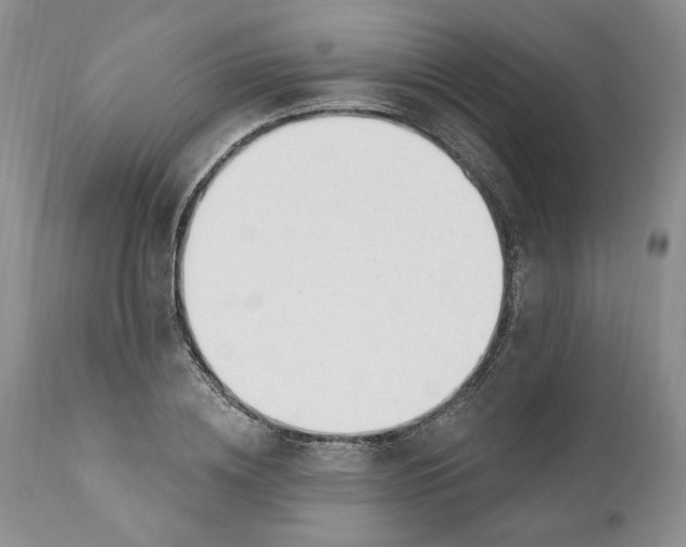 X0000110920836200907021457