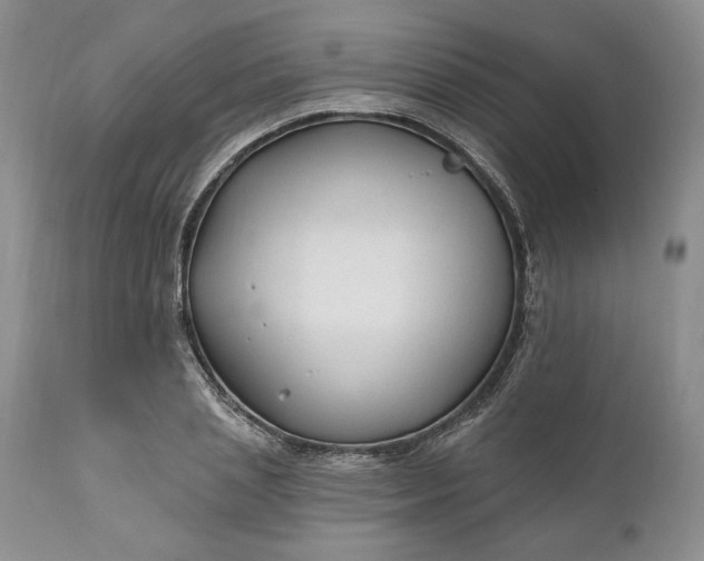 X0000110920837200907021457