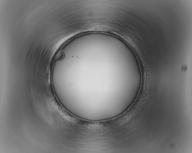 X0000110920838200907021457