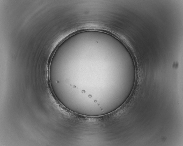 X0000110920839200907021457