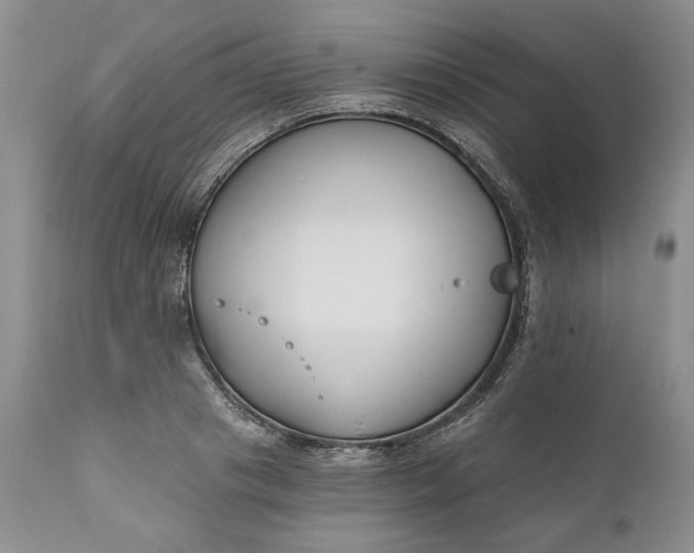 X0000110920841200907021457