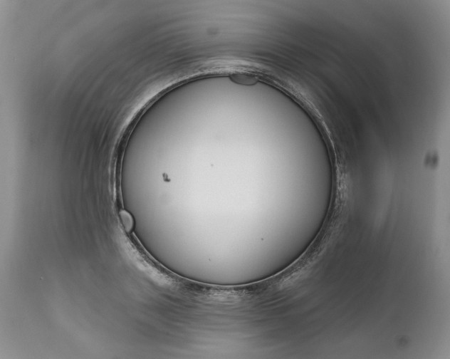 X0000110920843200907021457