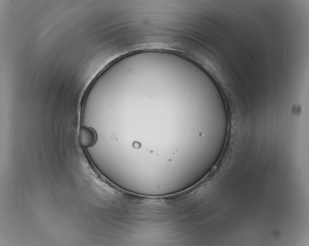 X0000110920844200907021457
