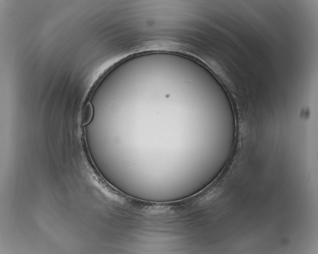X0000110920846200907021457