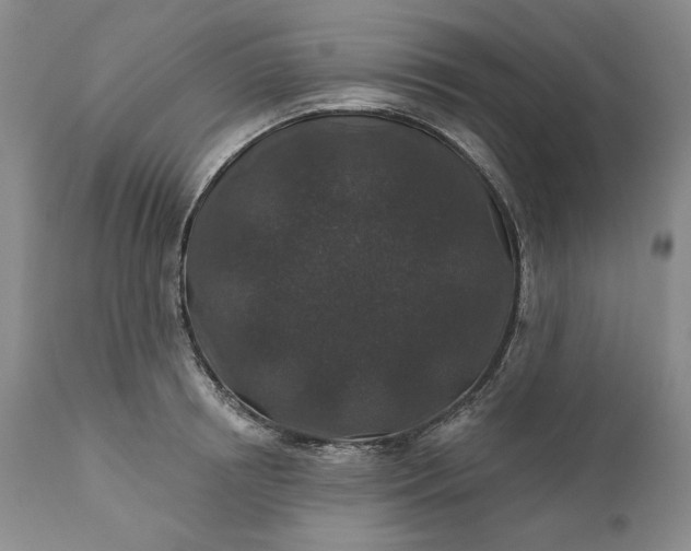 X0000110920850200907021457