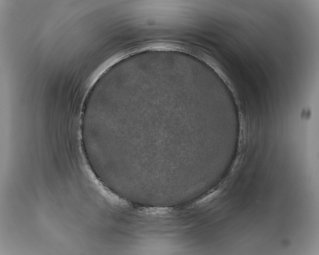 X0000110920853200907021457