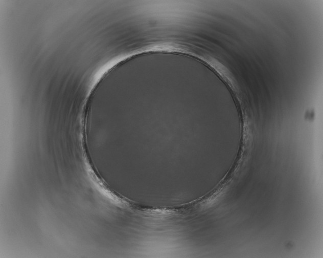 X0000110920854200907021457
