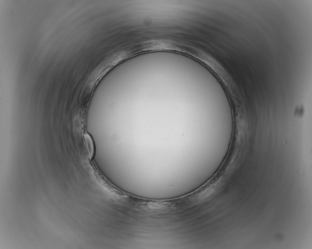 X0000110920857200907021457