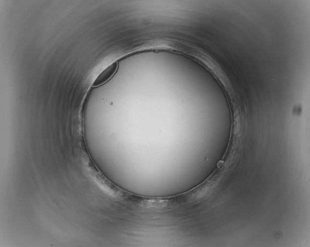 X0000110920858200907021457