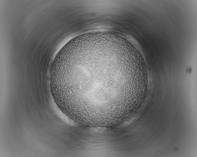 X0000110920859200907021457