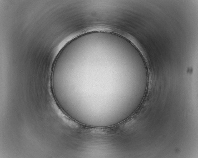 X0000110920861200907021457