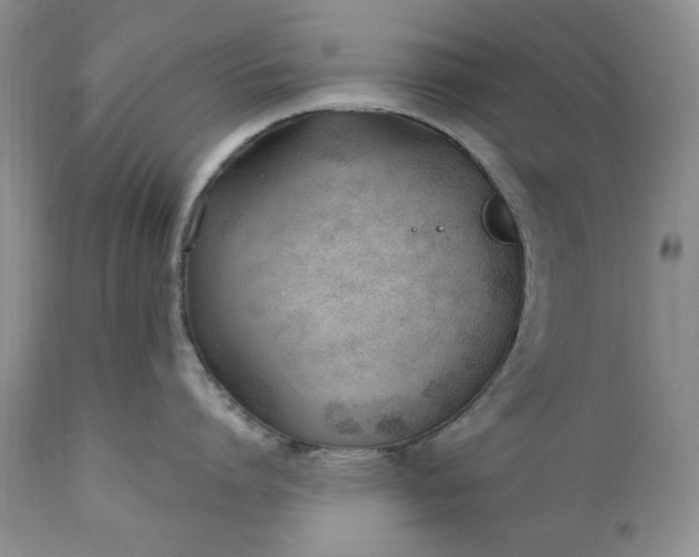X0000110920864200907021457