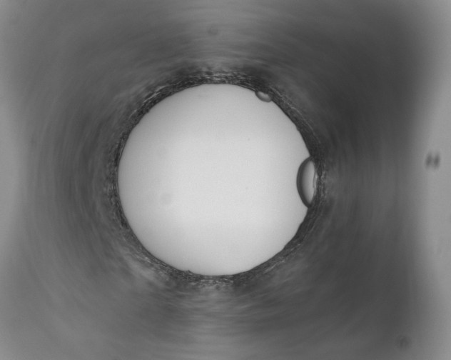 X0000110920865200907021456
