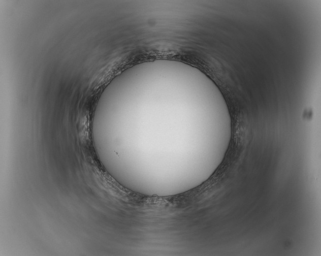 X0000110920866200907021456