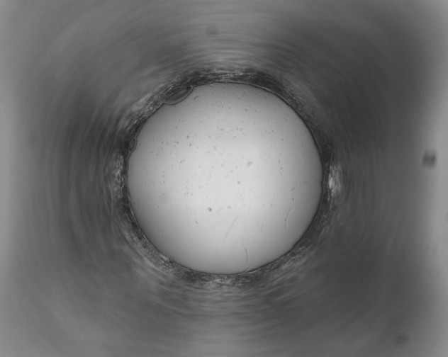 X0000110920867200907021456