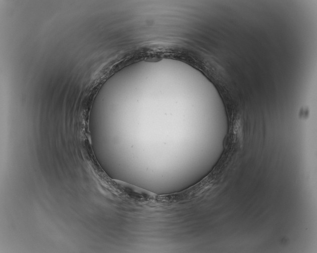X0000110920868200907021456