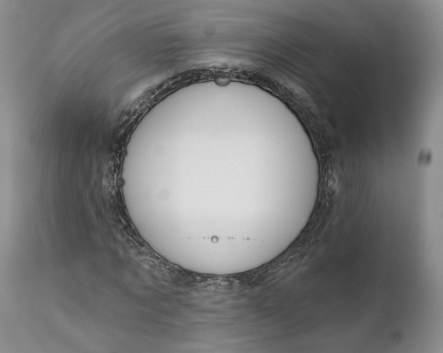 X0000110920869200907021456