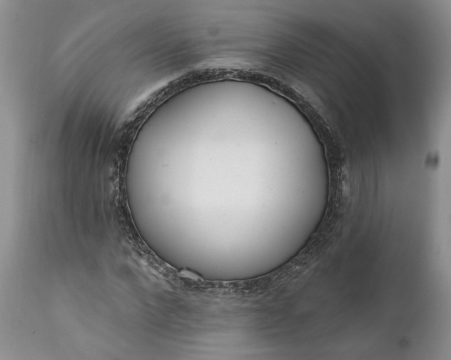 X0000110920872200907021456