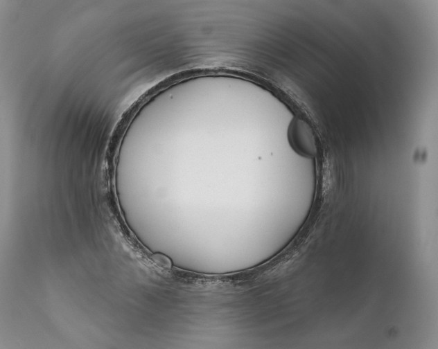 X0000110920876200907021456
