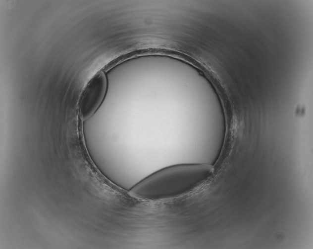 X0000110920877200907021456