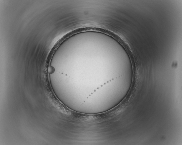 X0000110920879200907021456