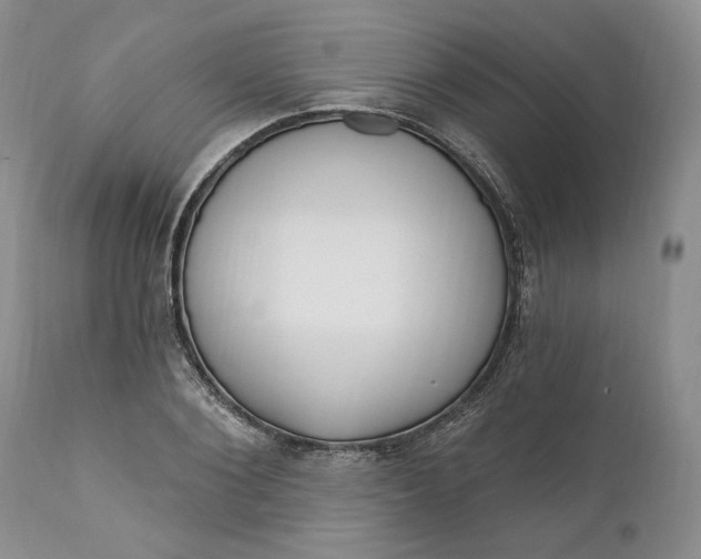 X0000110920884200907021456