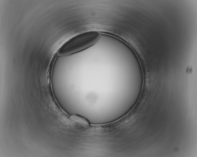 X0000110920885200907021456