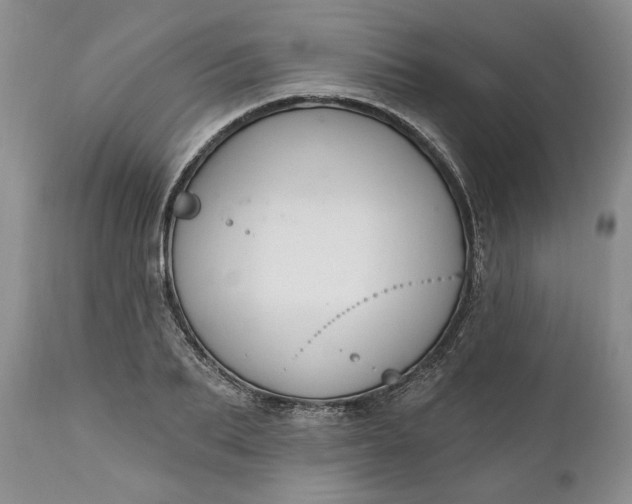X0000110920887200907021456
