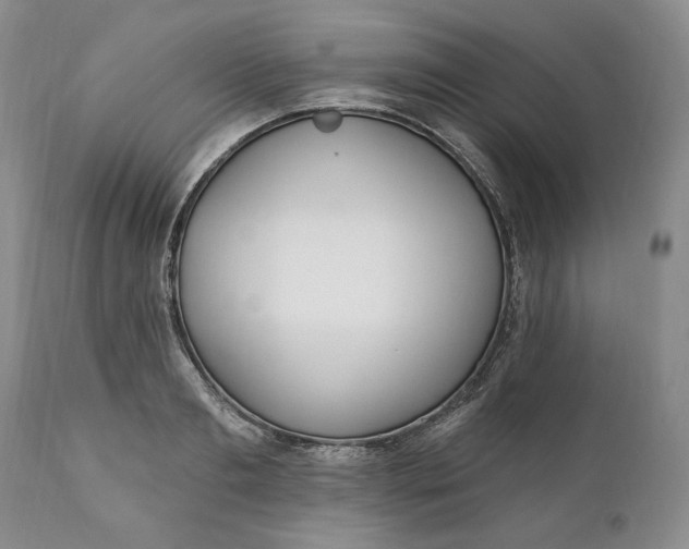 X0000110920893200907021456