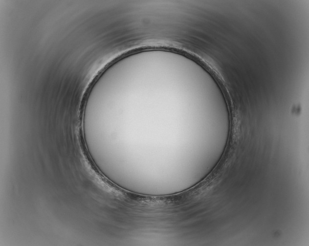 X0000110920895200907021456