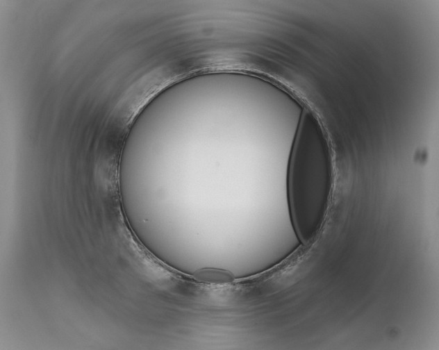 X0000110920897200907021456