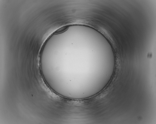 X0000110920900200907021456