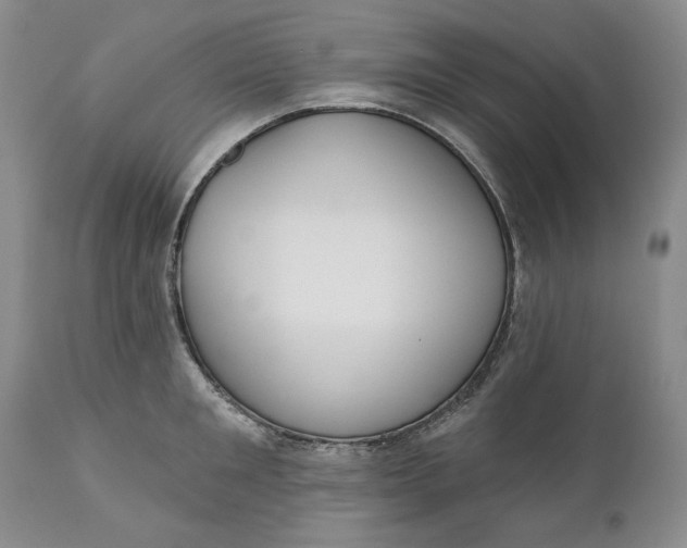 X0000110920901200907021456