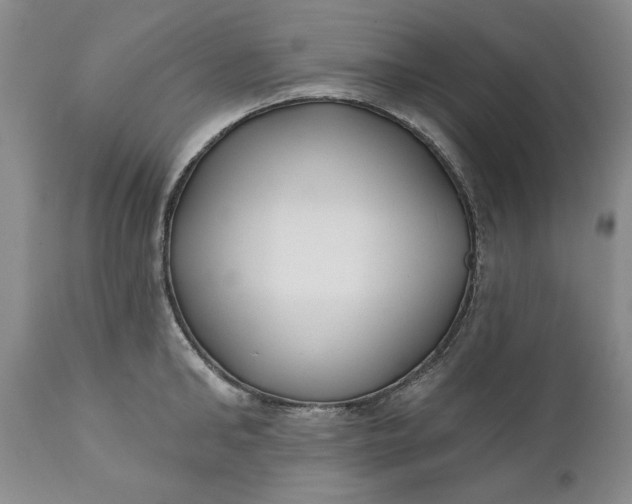 X0000110920902200907021456