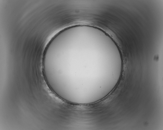 X0000110920904200907021456