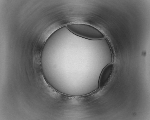 X0000110920905200907021456