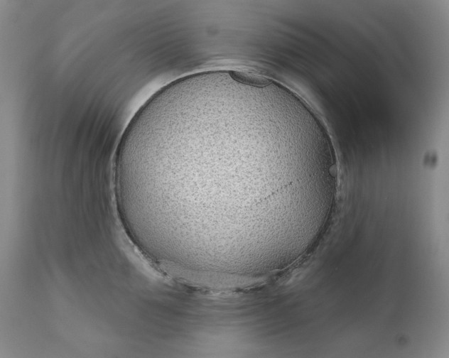 X0000110920907200907021456