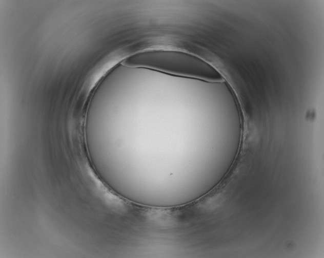X0000110920909200907021456