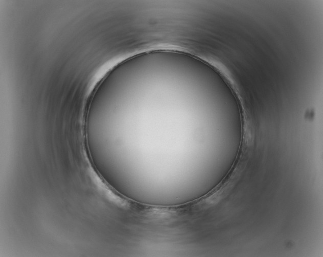 X0000110920910200907021456