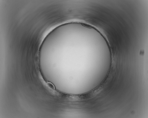 X0000110920911200907021456