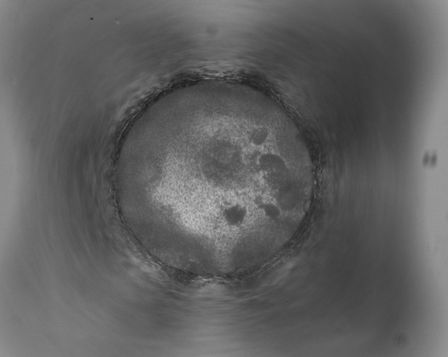 X0000110920913200907021455