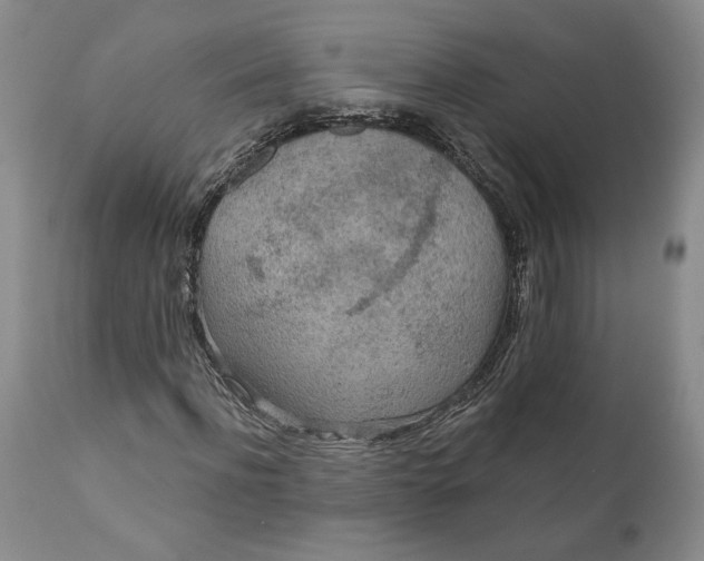 X0000110920916200907021455