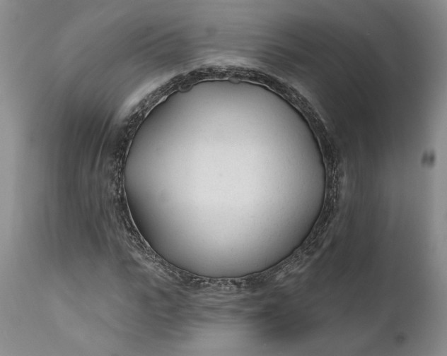 X0000110920919200907021455