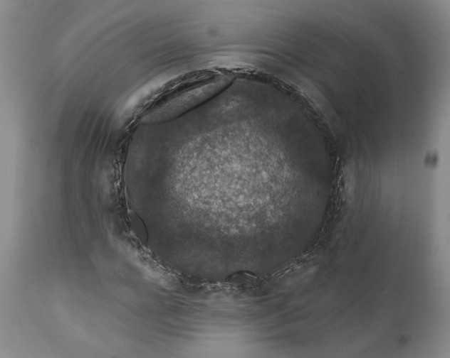 X0000110920920200907021455