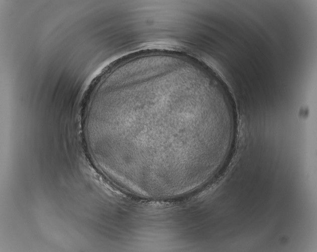 X0000110920923200907021455